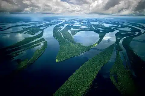 The Amazon River