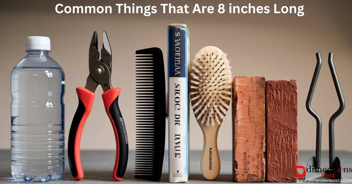 Common Things That Are 8 inches Long