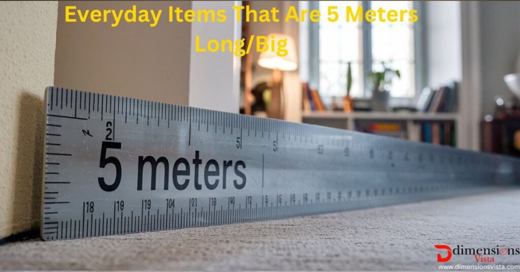 Items That Are 5 Meters Long or big