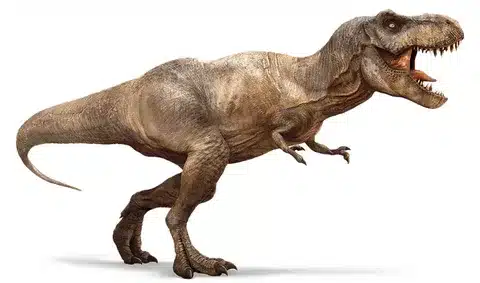 Tyrannosaurus Rex 80 feet