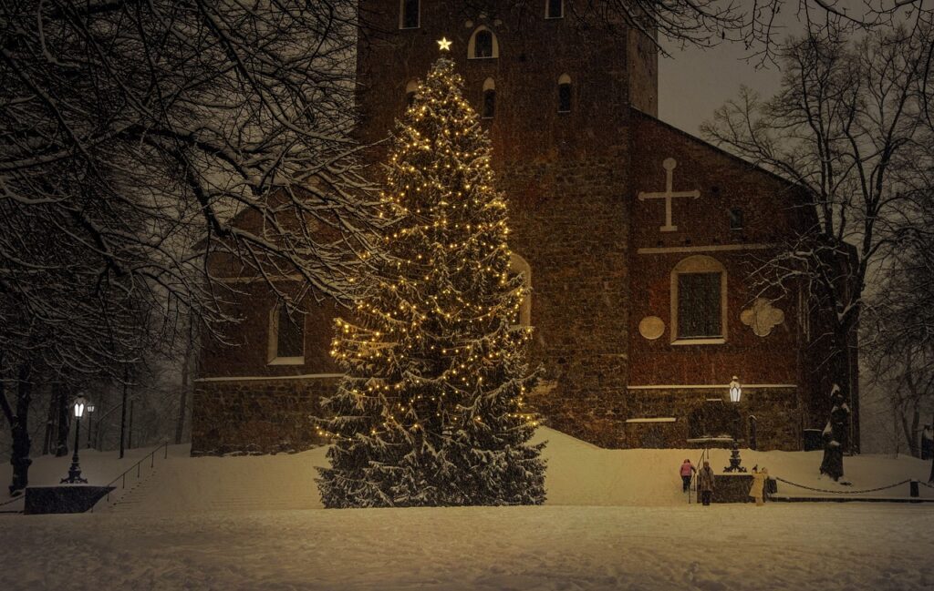 christmas-tree 5 meters long