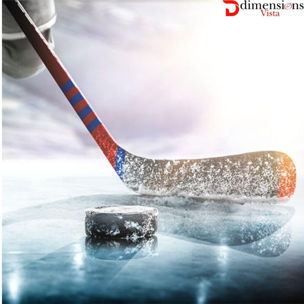 ice hockey stick 1 meter