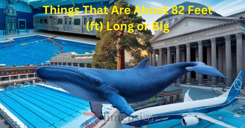 Things That Are About 82 Feet (ft) Long or Big