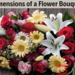 Dimensions of a Flower Bouquet