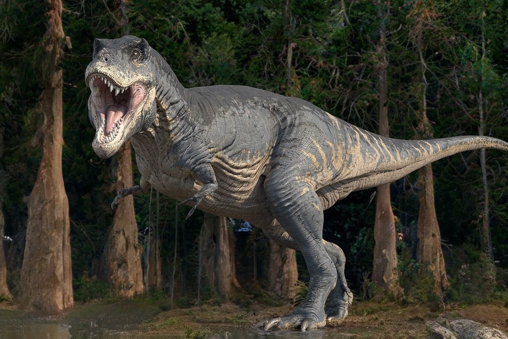 Illustration of a 12-meter T. Rex, requiring 2.5 dinosaurs to equal 40 meters.