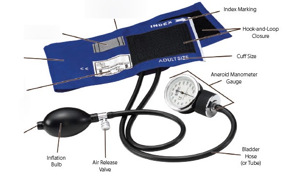 Width of a blood pressure cuff