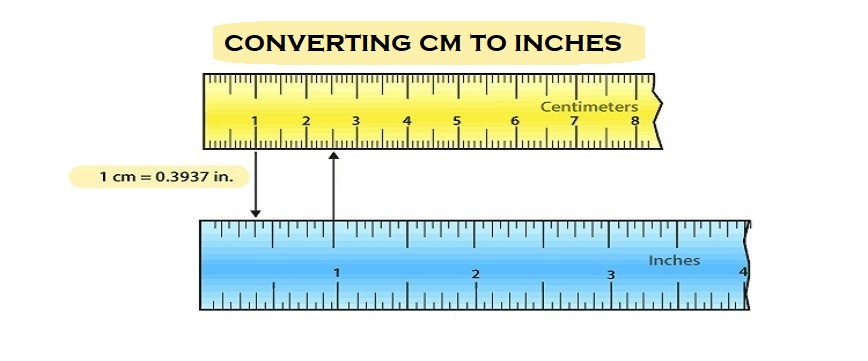 Converting 20.5 Centimeters to Inches