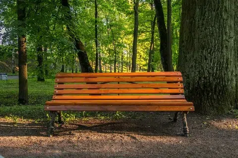 park bench 5 feet long